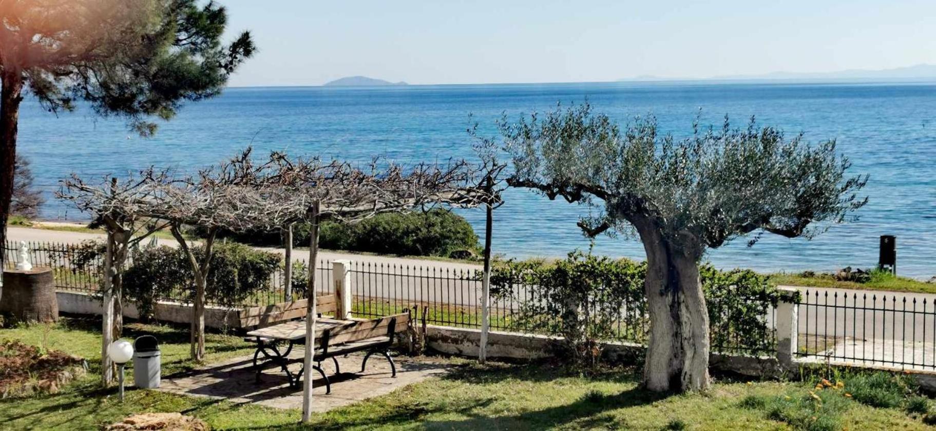 Metamorphosis - Halkidiki Apartment On The Beach Metamorfosi  Exterior photo