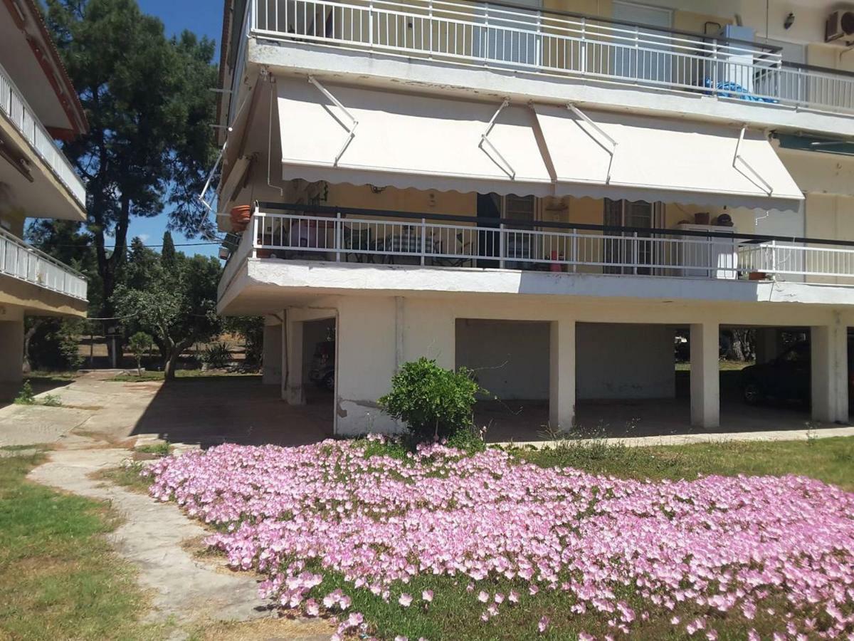 Metamorphosis - Halkidiki Apartment On The Beach Metamorfosi  Exterior photo